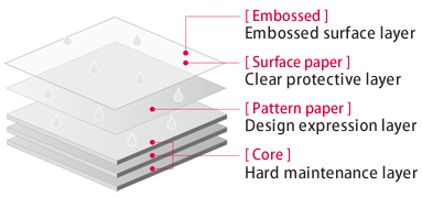 Picture of High Pressure Laminate Features