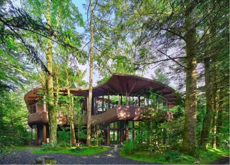 AICA賞受賞作品 Grove Strolling Corridor