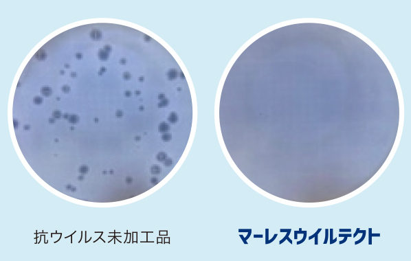 抗ウイルス性能を可視化（社内試験）