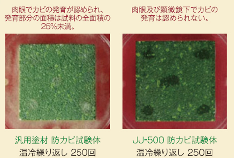 20151130_0202.jpg