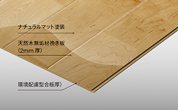 item0831_008.png