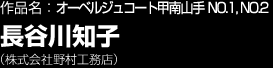 作品名：オーベルジュコート甲南山手　NO.1、NO.2　長谷川知子　（株式会社野村工務店）