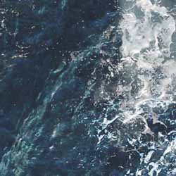 WIND AND SEA アイボリー　ダメージ加工 WIND AND SEA × パラッパラッパー コラボアイテムが2025年 4/25