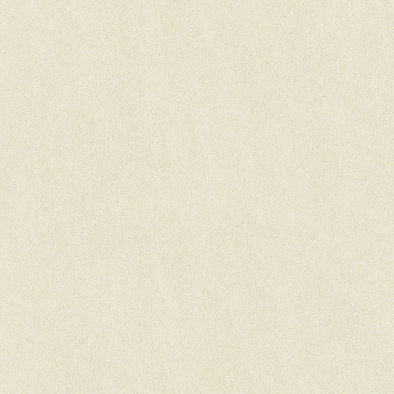 パールトーンポリ | アイカ工業株式会社