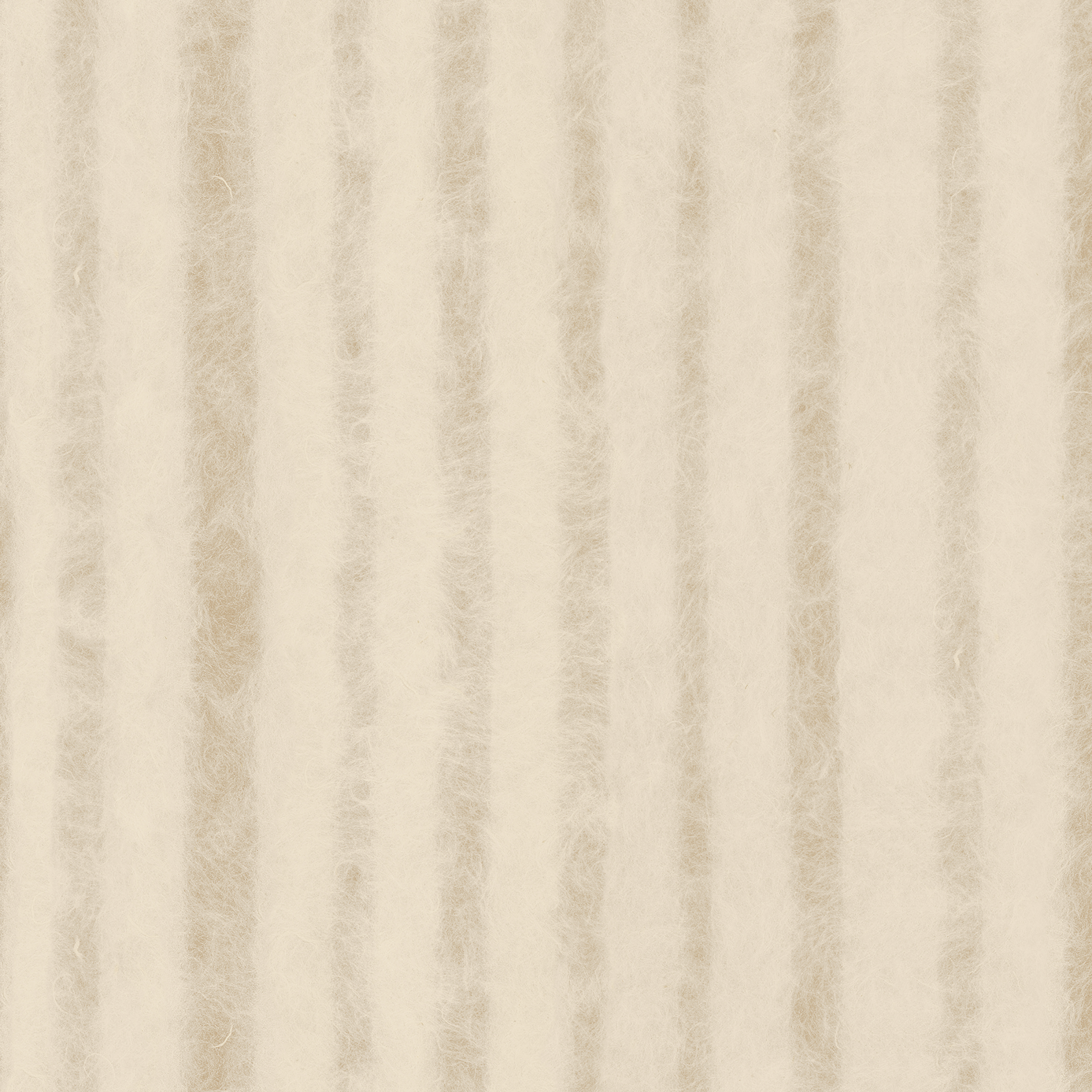 t010000389850.jpg