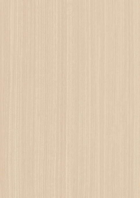 LP-10310 | アイカ工業株式会社