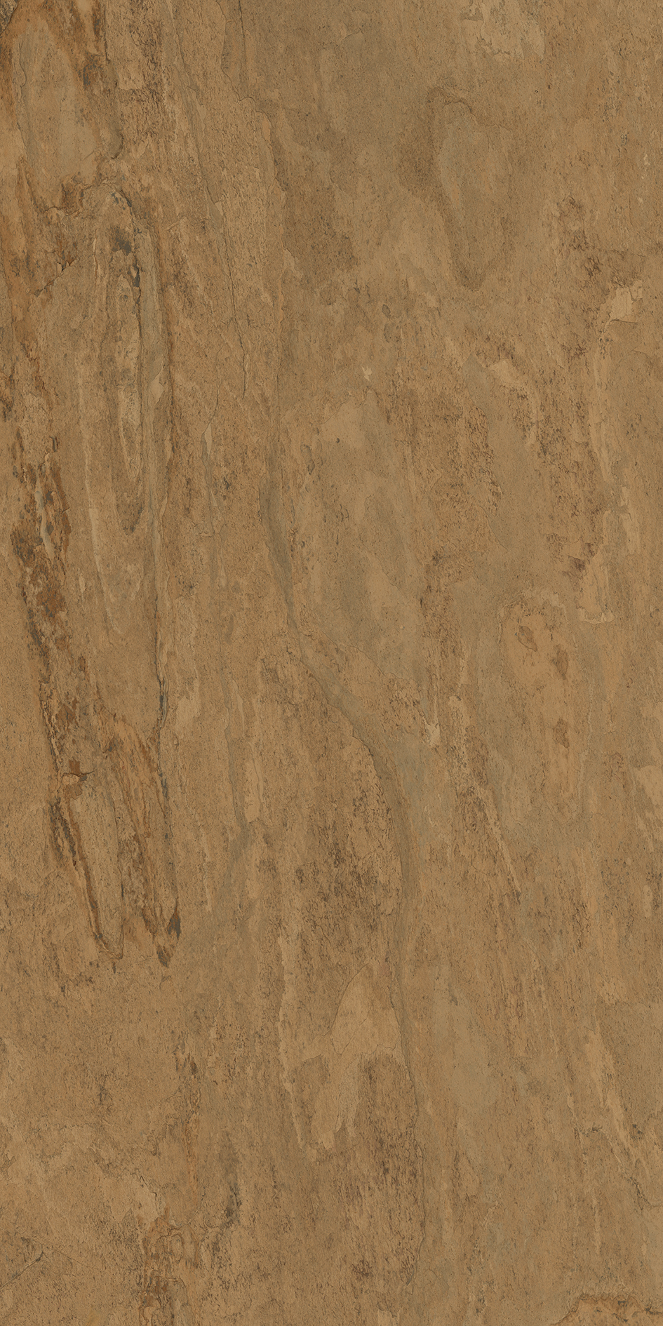 サンビカ３３３ページ t010000391843.jpg