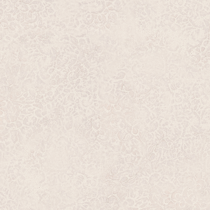 WF-3338Z | アイカ工業株式会社