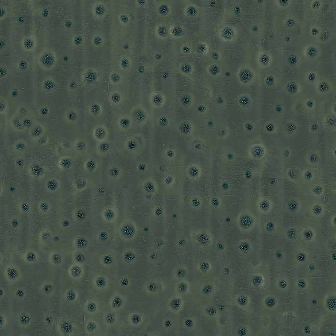t010000391936.jpg