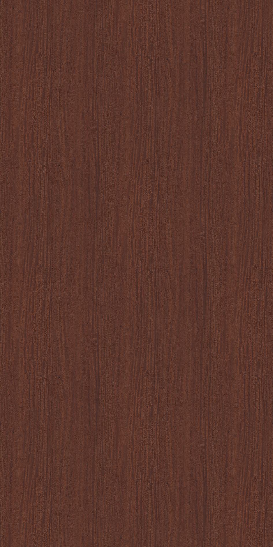 ✳️良品★ビラボン★5×3mm★セミドライ★M★高級裏起毛素材★信頼の日本製 生産終了｜セラミックはさみ – 京セラキッチンオンラインストア