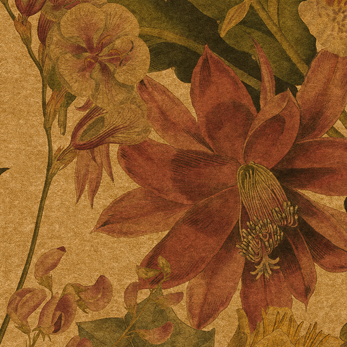 カラメル2 t010000393560.jpg