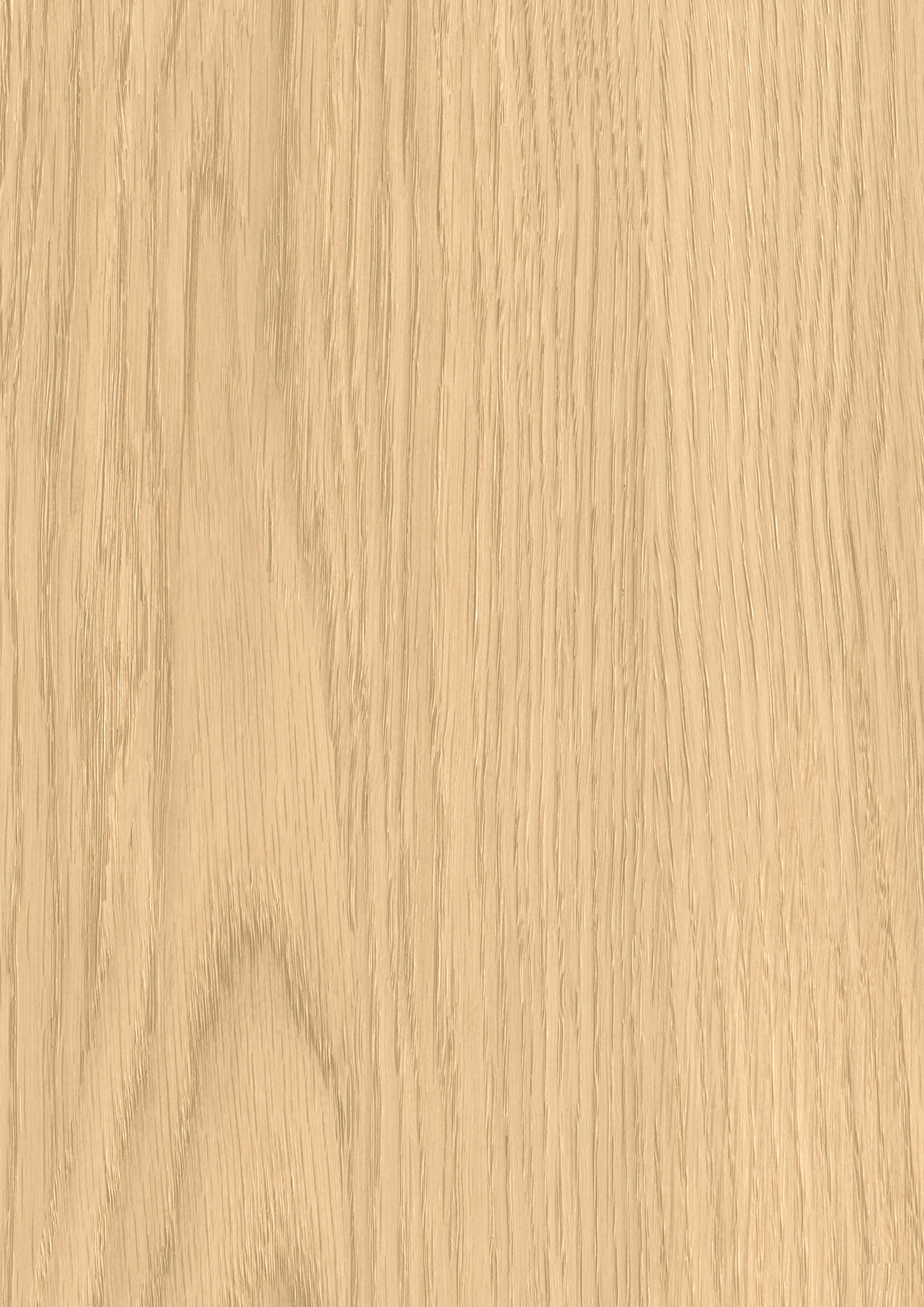 BTM398 | アイカ工業株式会社