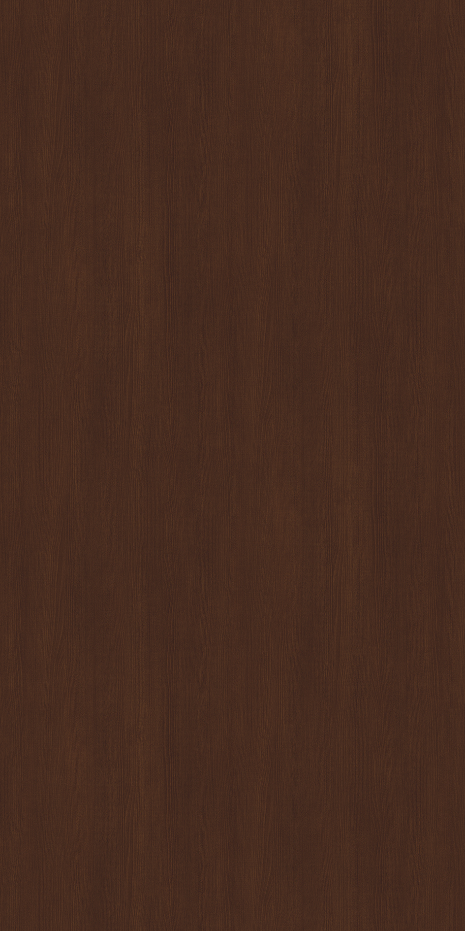 t010000394326.jpg