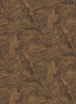 Trok t010000394970.jpg