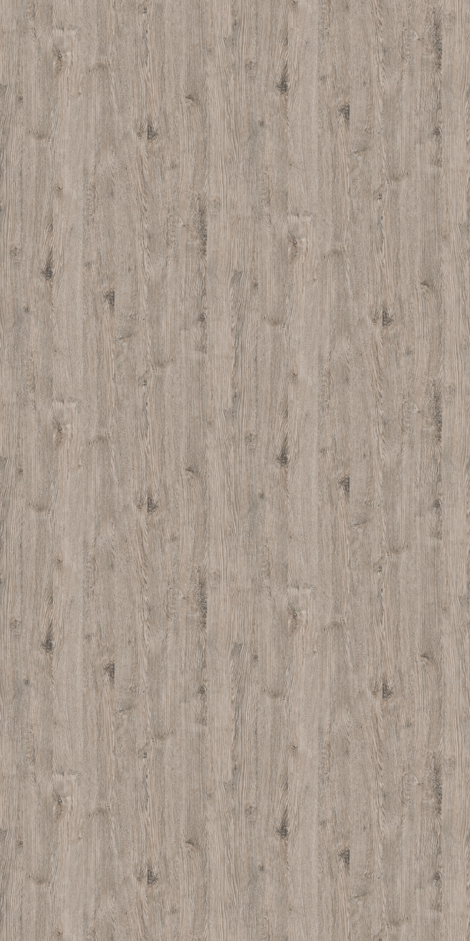 アイエス t010000396533.jpg