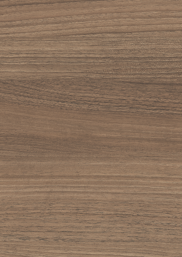 t010000396775.jpg