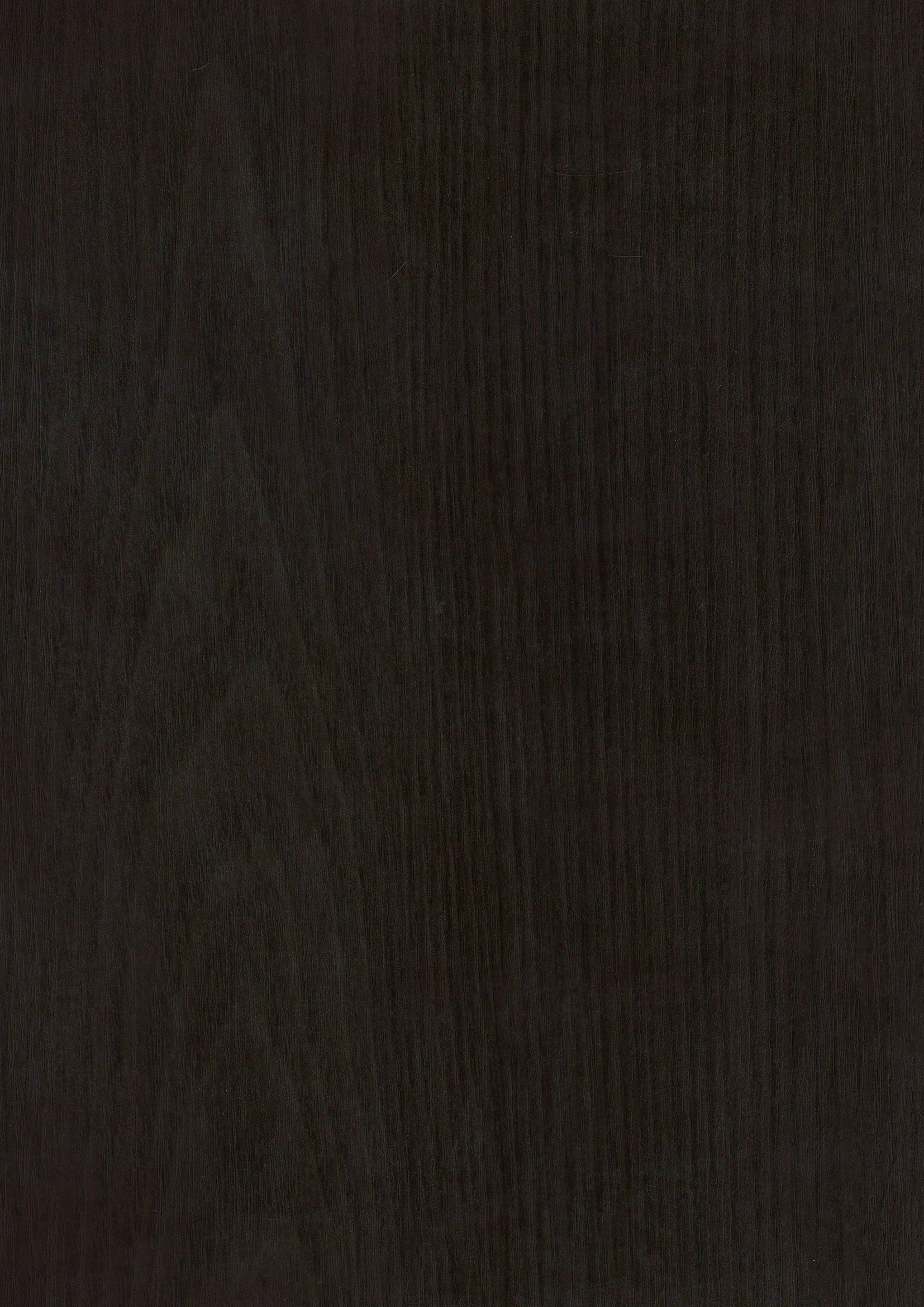 t010000396902.jpg