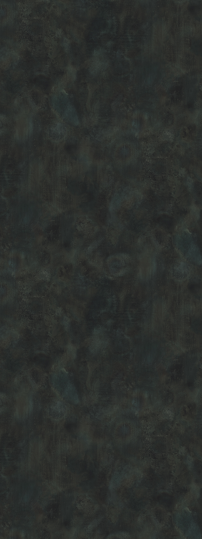 t010000396929.jpg
