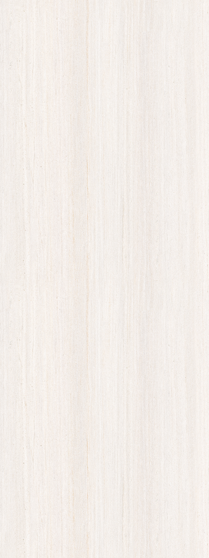 t010000396970.jpg