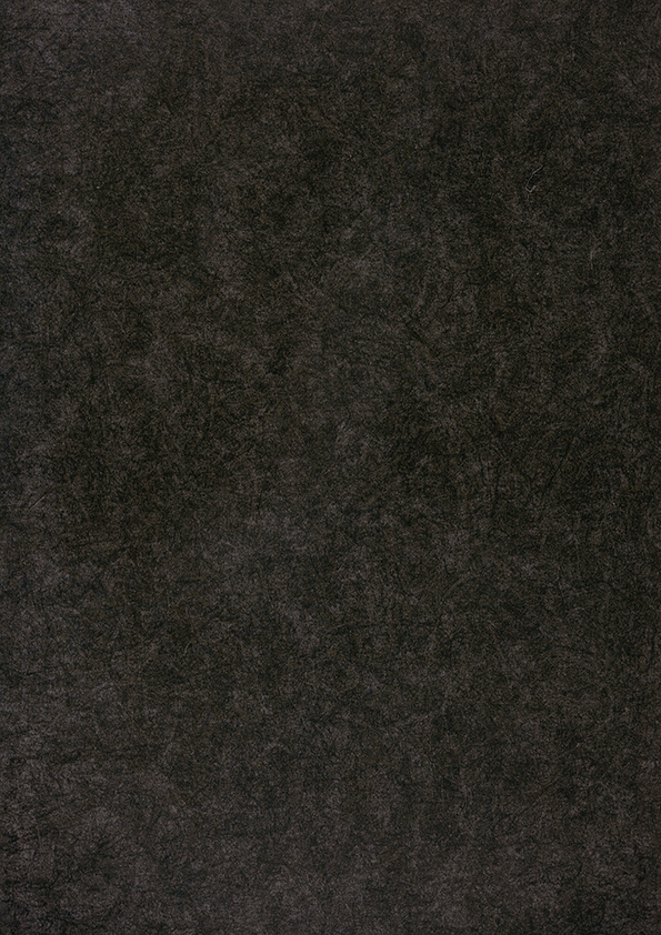 t010000397140.jpg