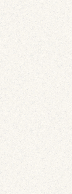 t010000397301.jpg
