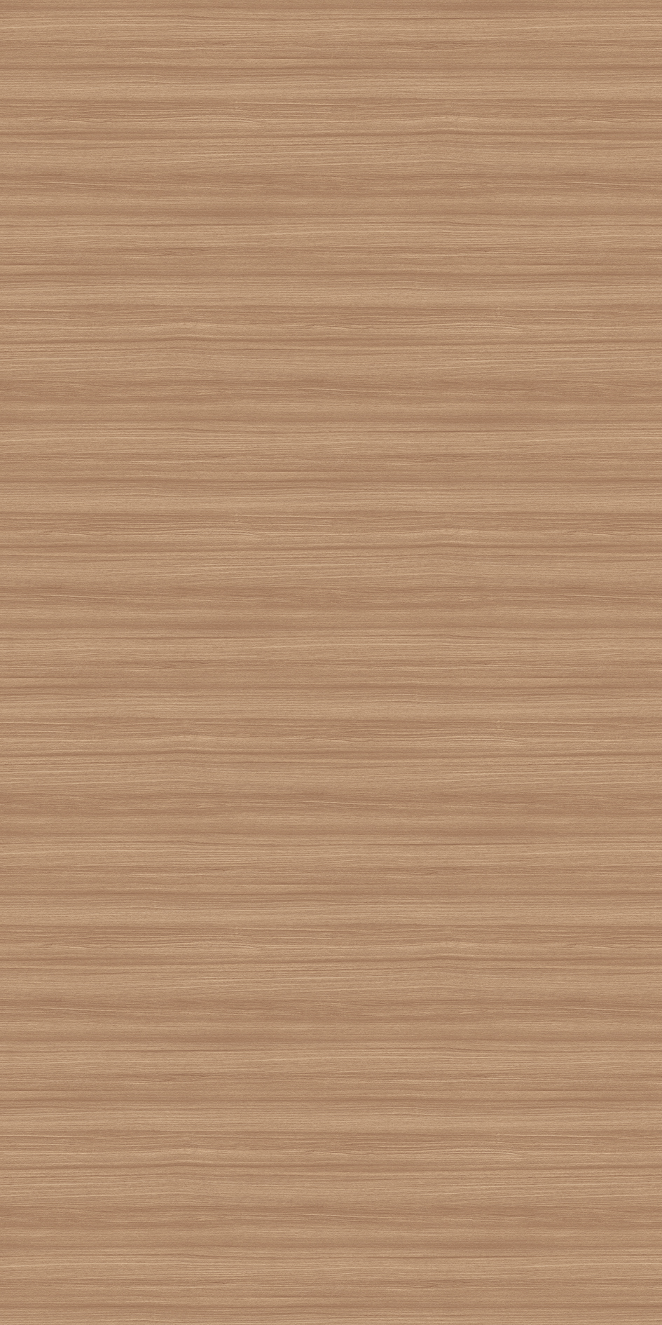 t010000397356.jpg