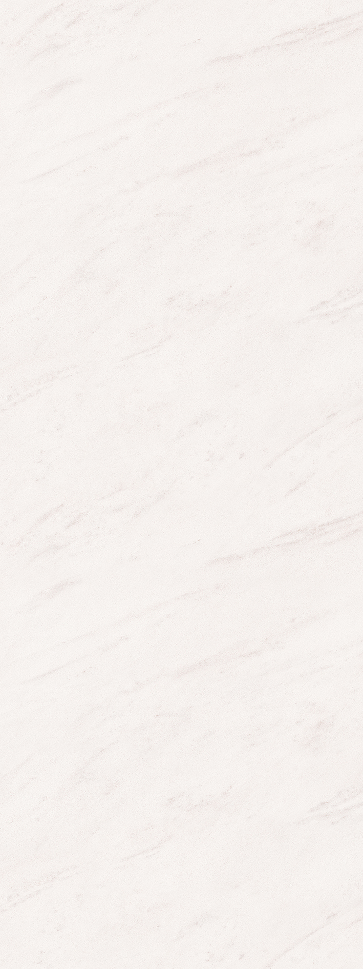 t010000397430.jpg