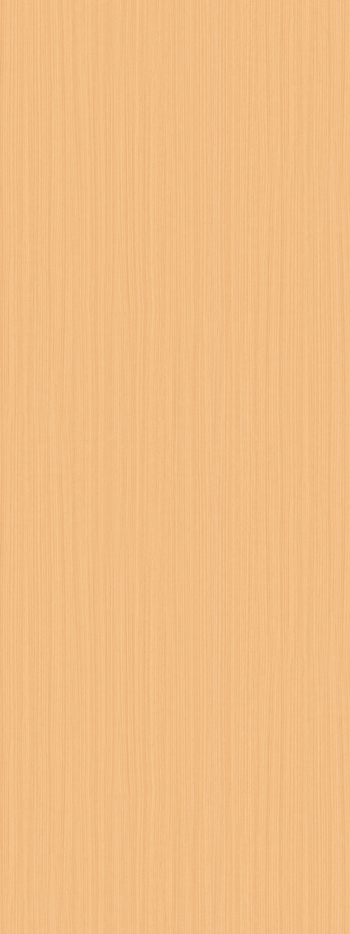 t010000397516.jpg