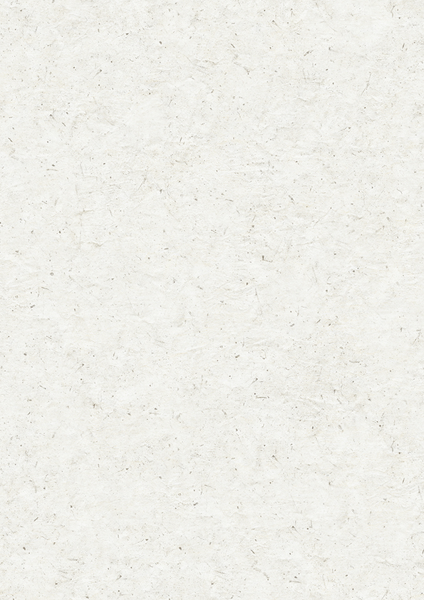 FAN1847ZMN | アイカ工業株式会社