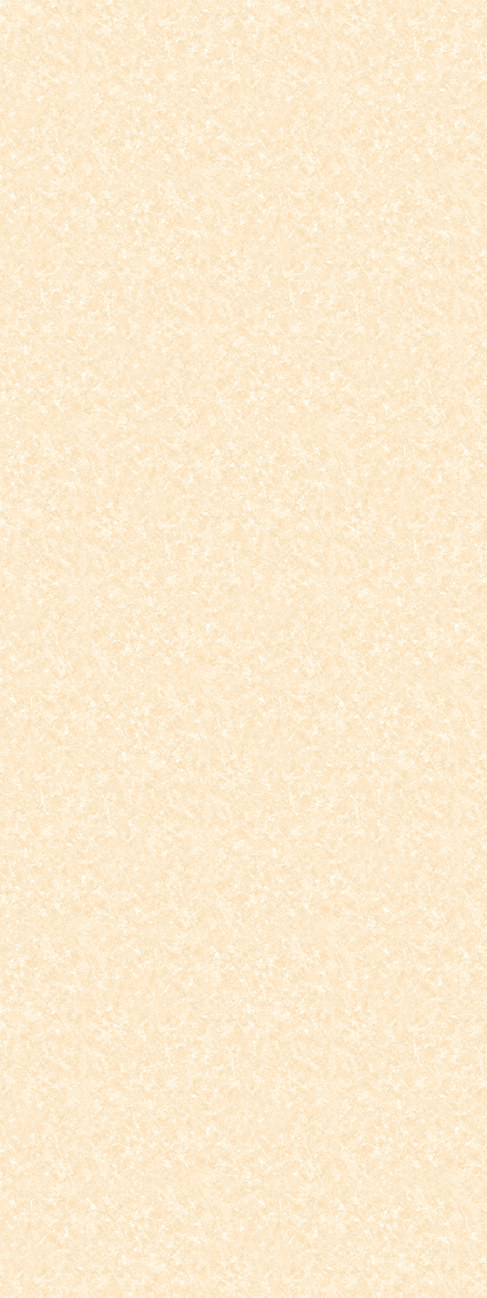 t010000397719.jpg