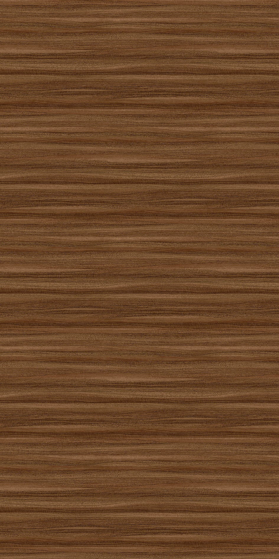 t010000397739.jpg t010000397739.jpg