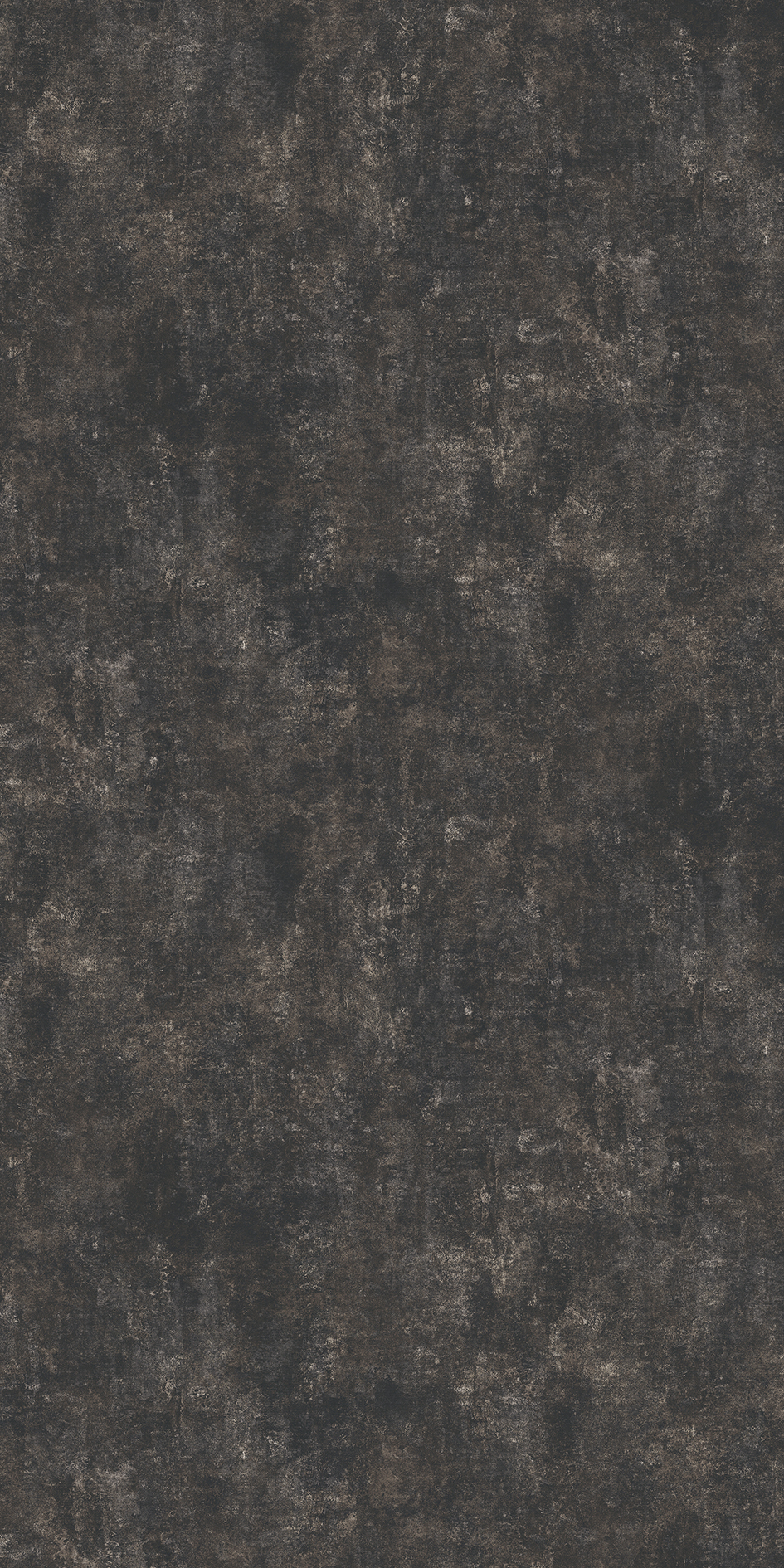 t010000397830.jpg