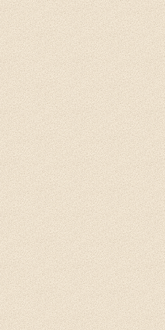 アイ アイアールシー(iRC Tire) 129430 GP-610 80/100-21 M/C 51P WT