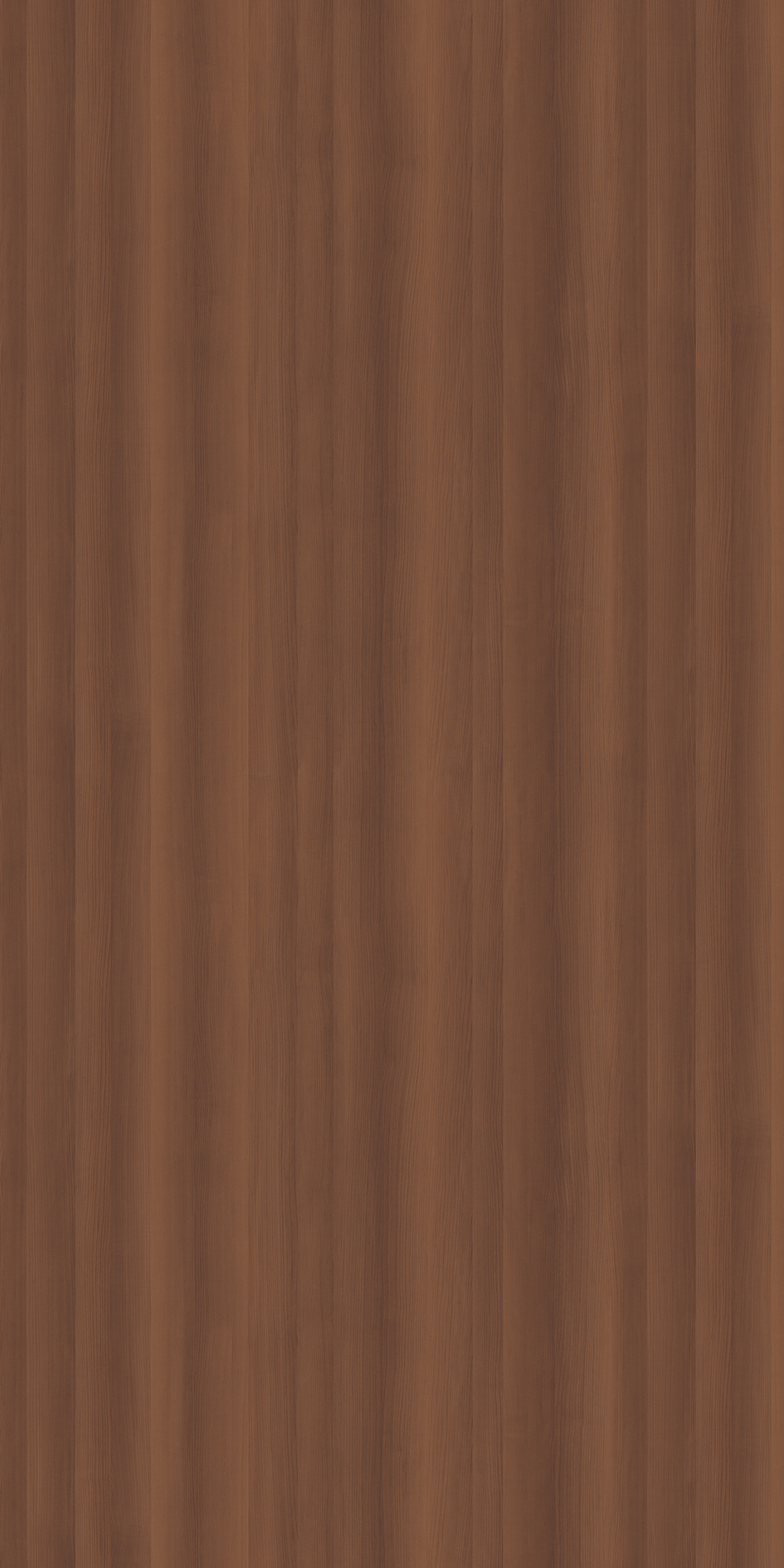 専用みずみずしく t010000398128.jpg