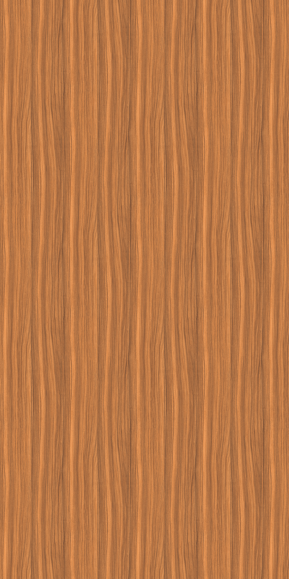 t010000398437.jpg