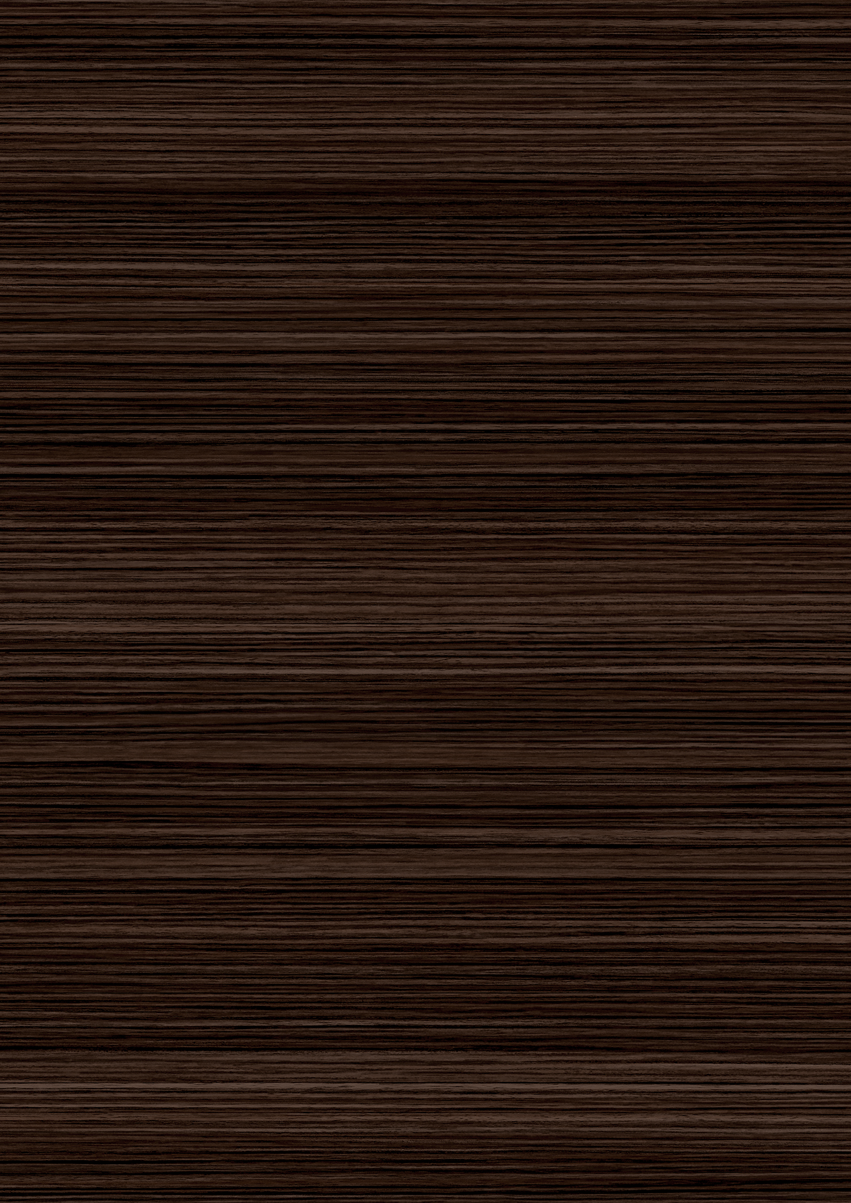 t010000398938.jpg