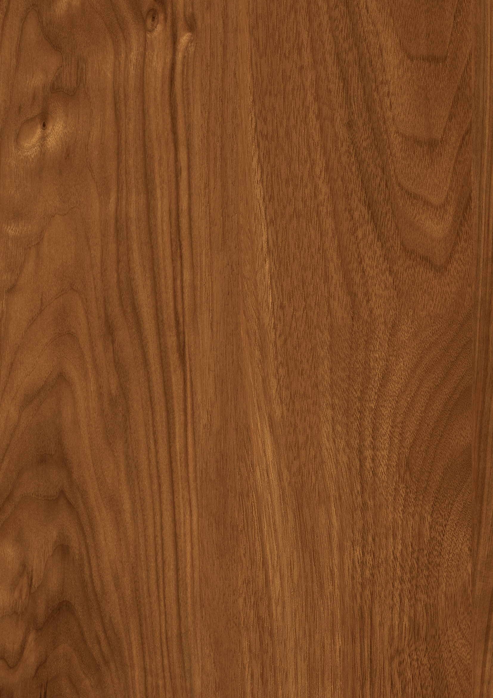 t010000401430.jpg