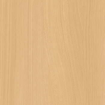 t010000405889.jpg