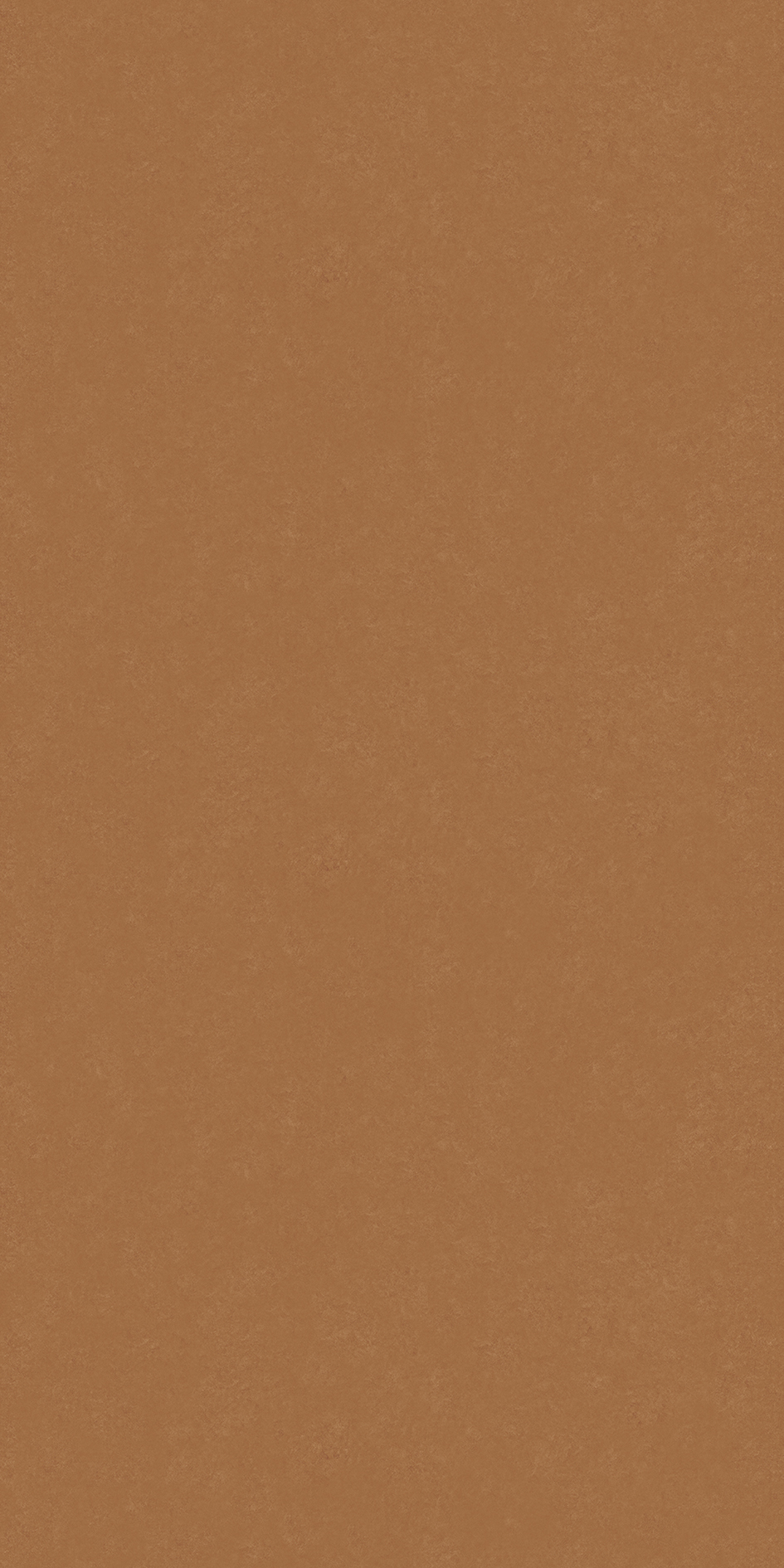 t010000405942.jpg