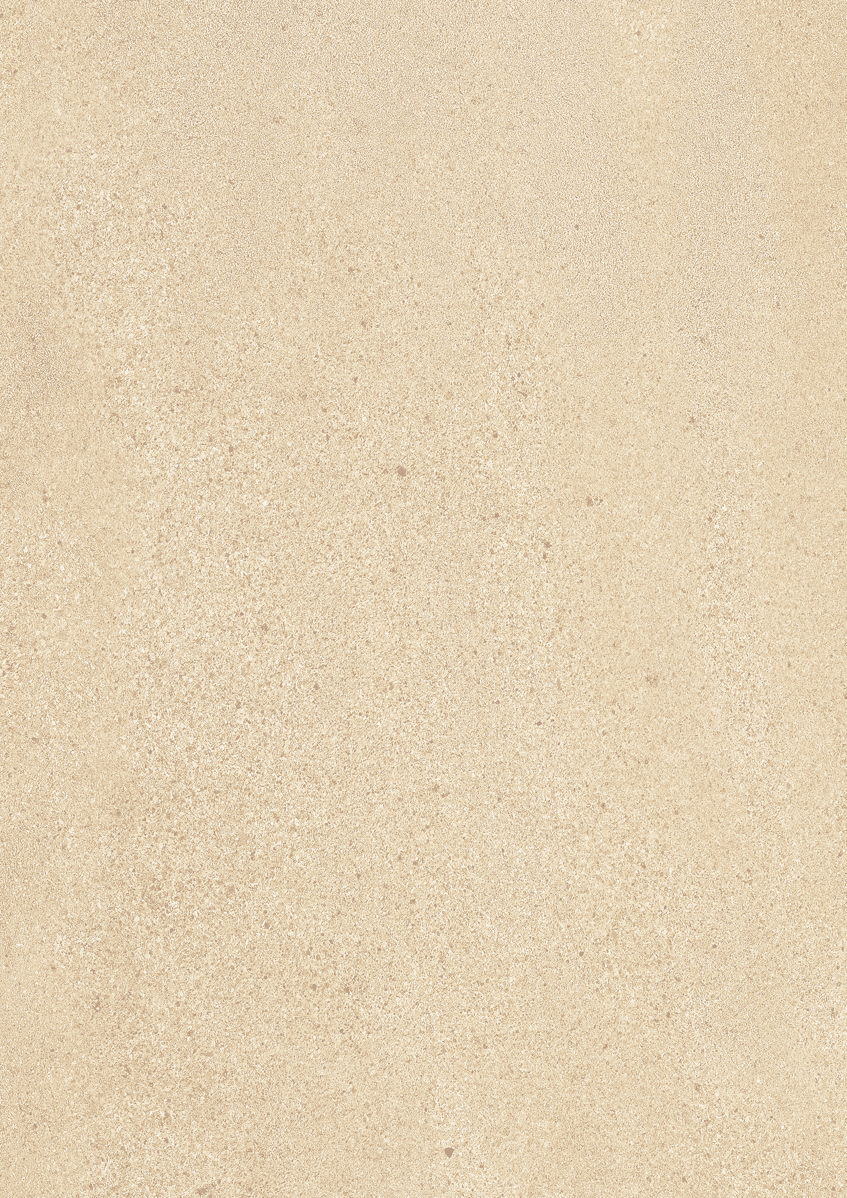 t010000406272.jpg
