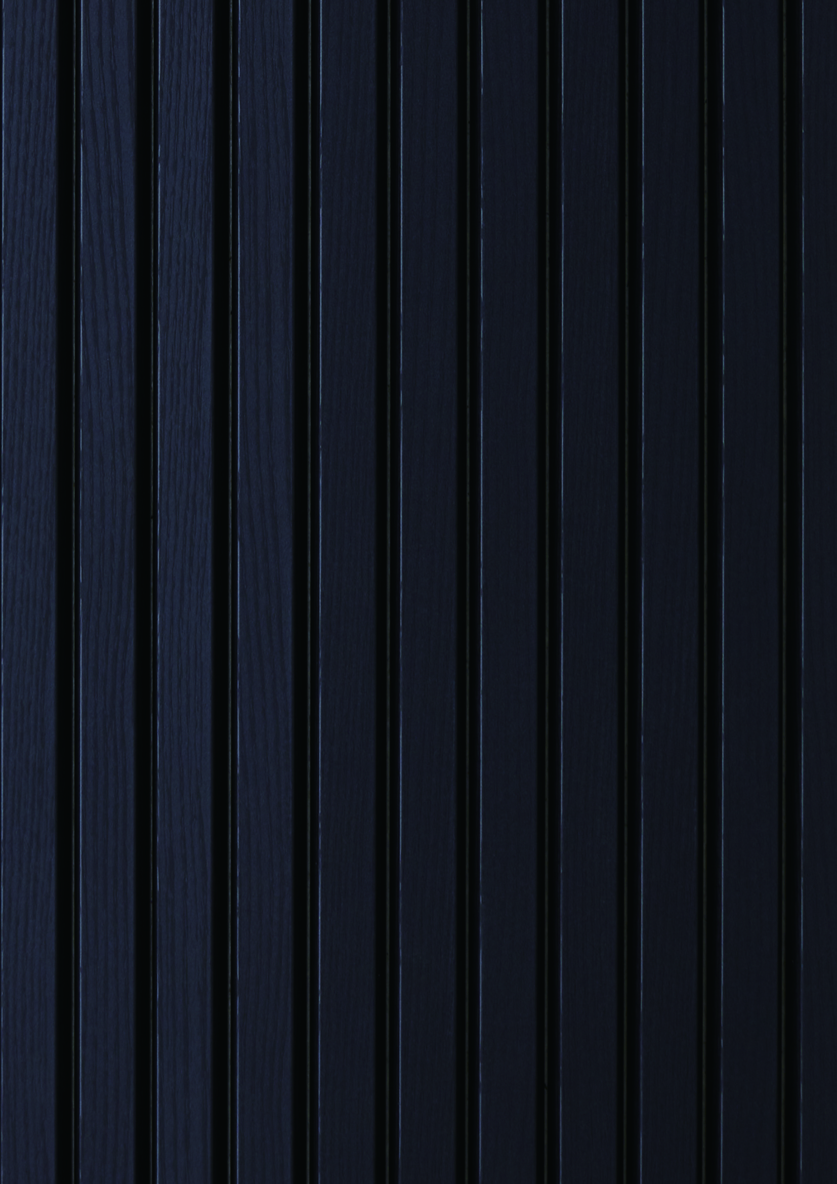 t010000408328.jpg