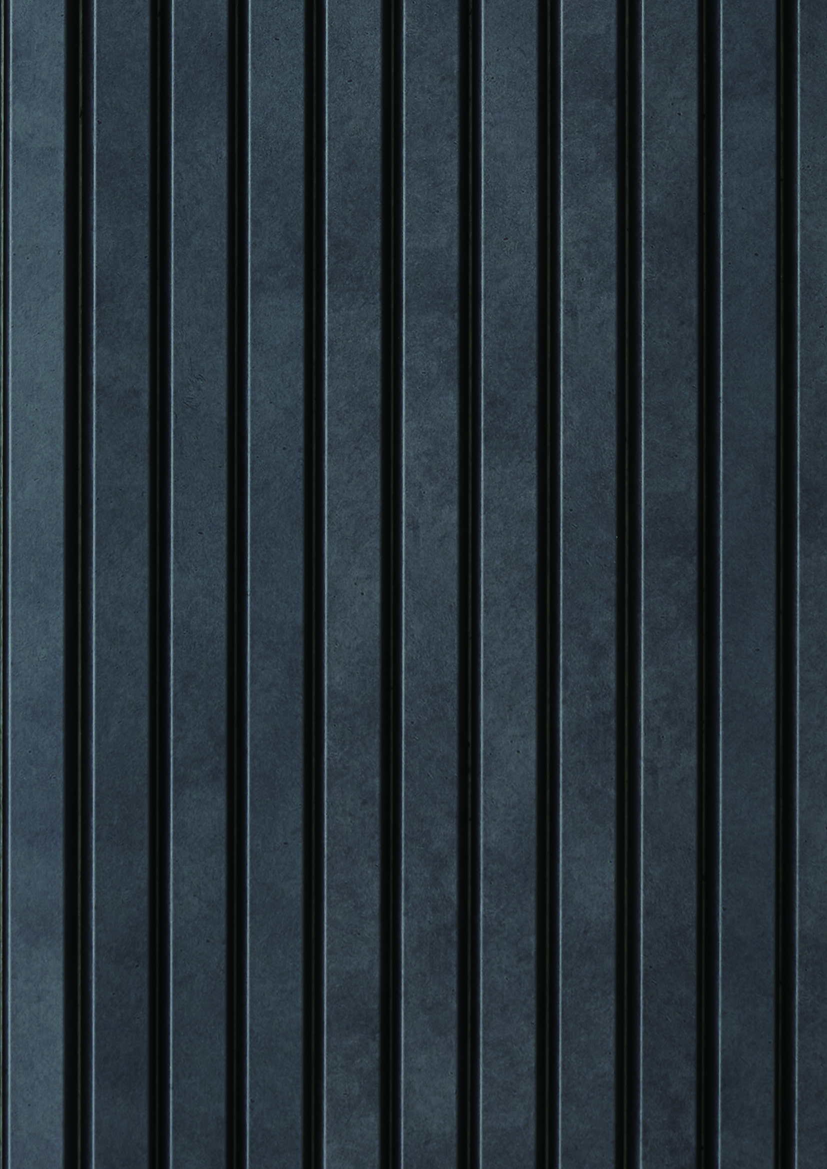 t010000408358.jpg