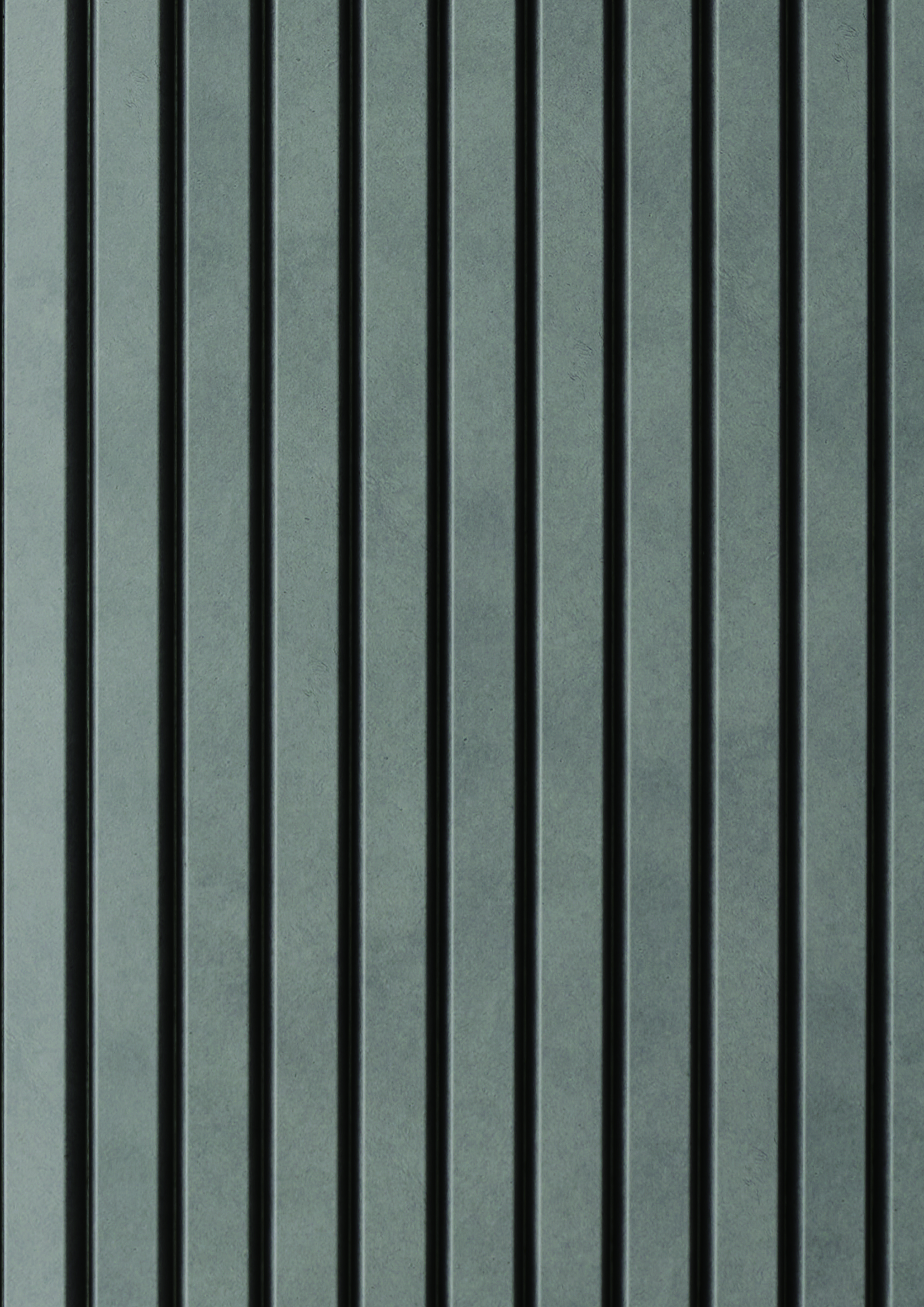 t010000408365.jpg