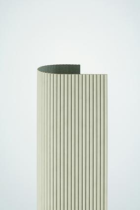 t010000408437.jpg