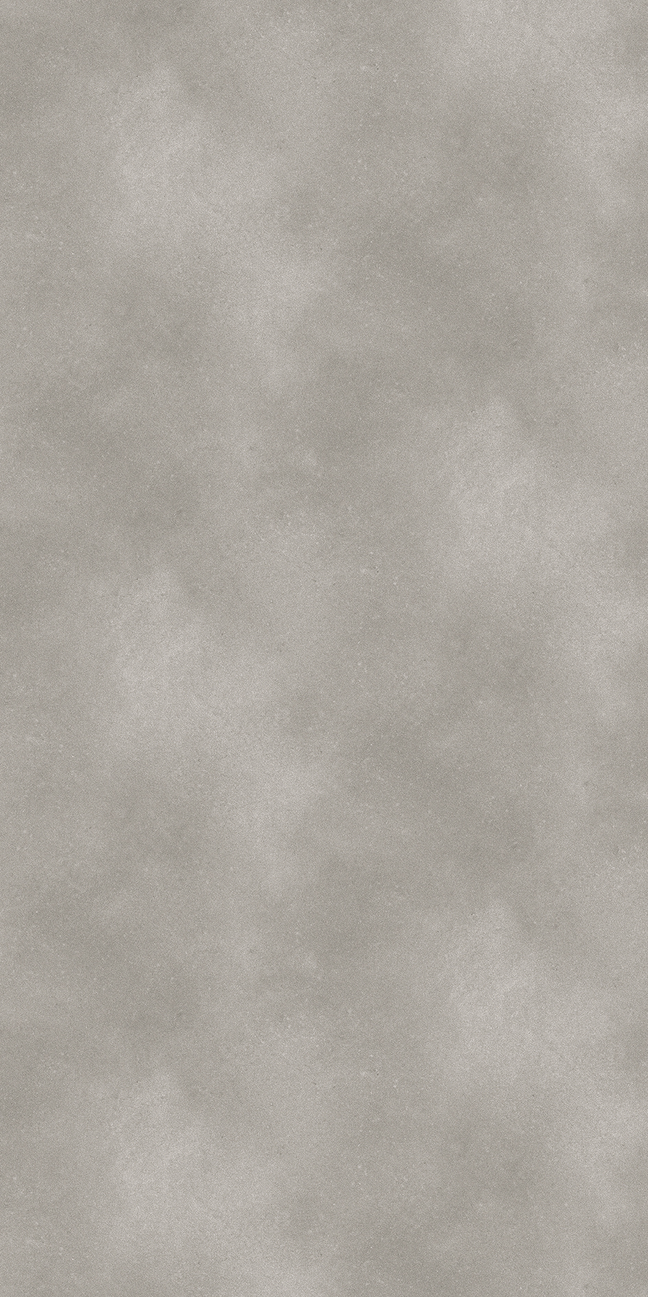 t010000408585.jpg