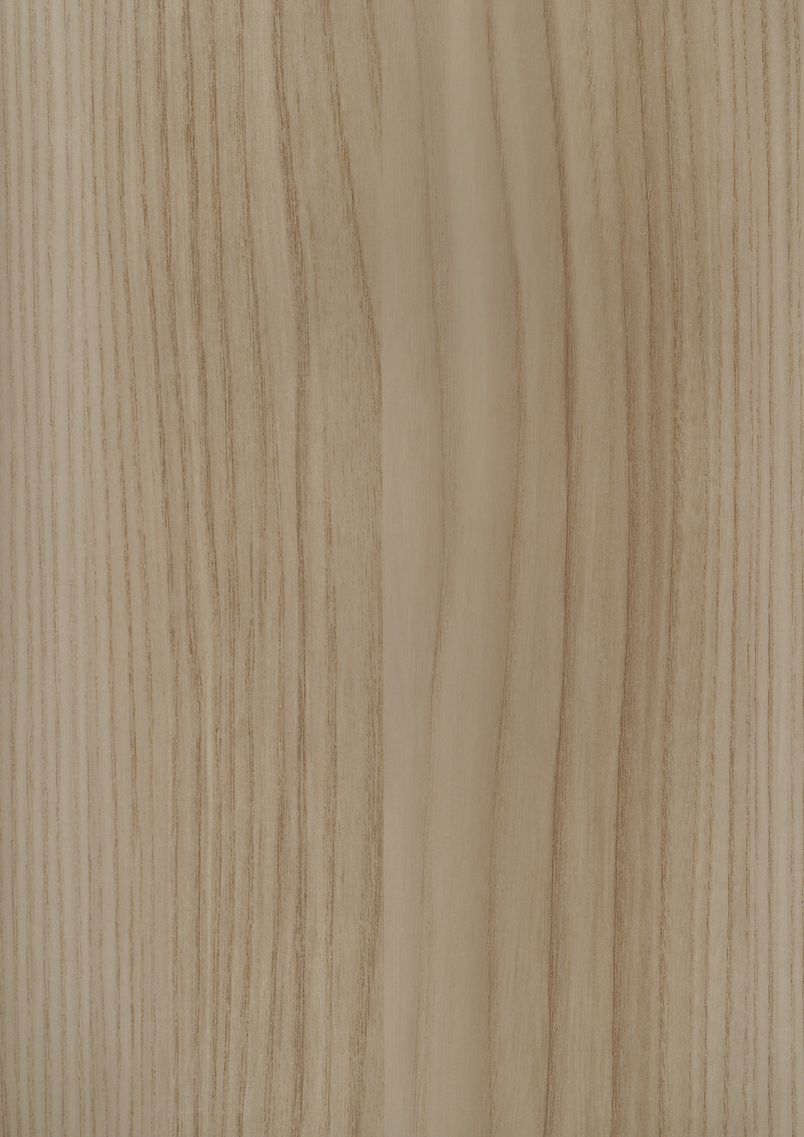 t010000409490.jpg